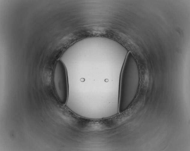 X0000111250704200907021020
