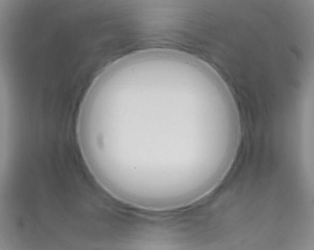 X0000111250705200907021020