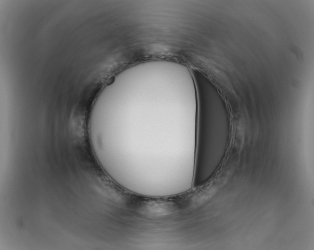 X0000111250708200907021020