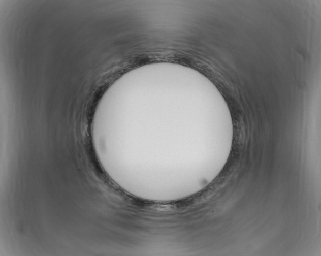 X0000111250711200907021020