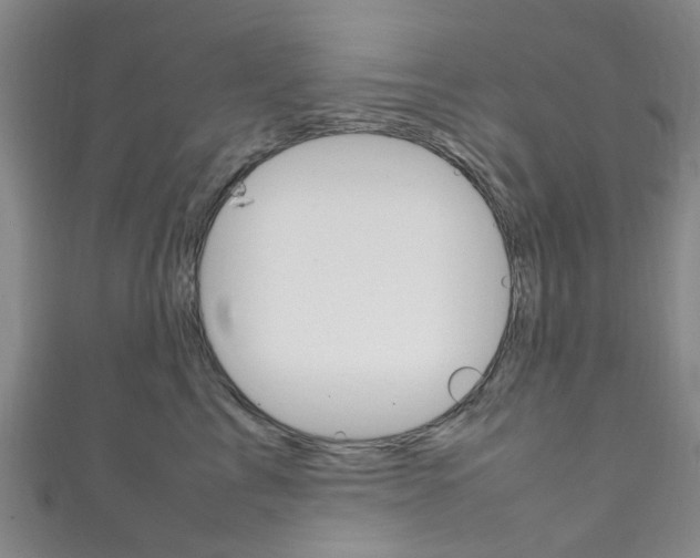 X0000111250713200907021020