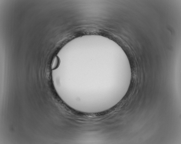 X0000111250715200907021020