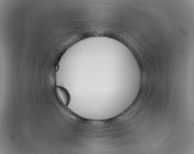 X0000111250719200907021020