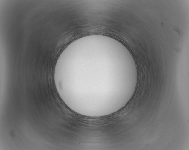 X0000111250720200907021020