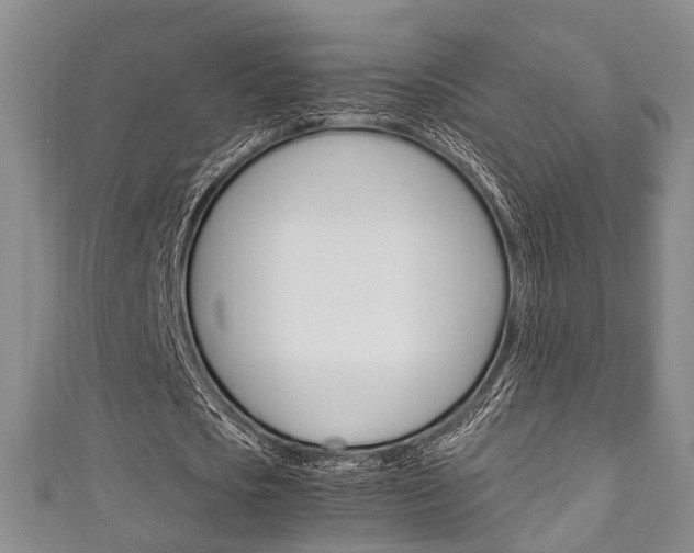 X0000111250721200907021019