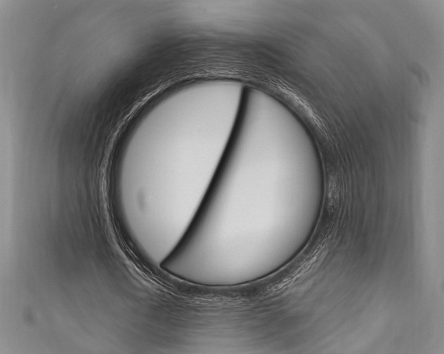 X0000111250722200907021019