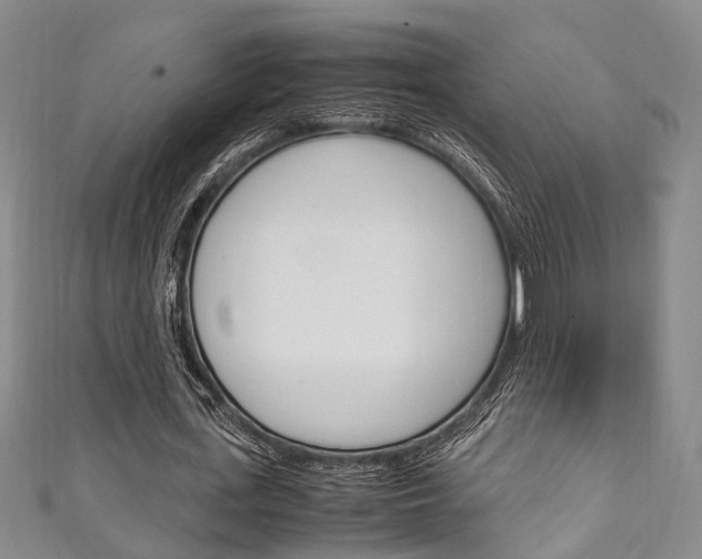 X0000111250723200907021019
