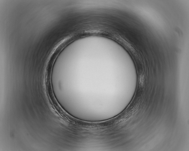 X0000111250724200907021019