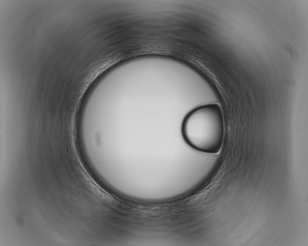 X0000111250725200907021019