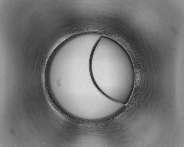 X0000111250726200907021019