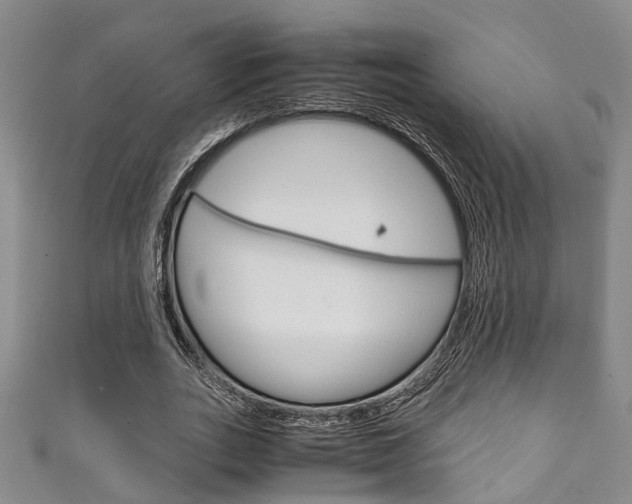 X0000111250727200907021019