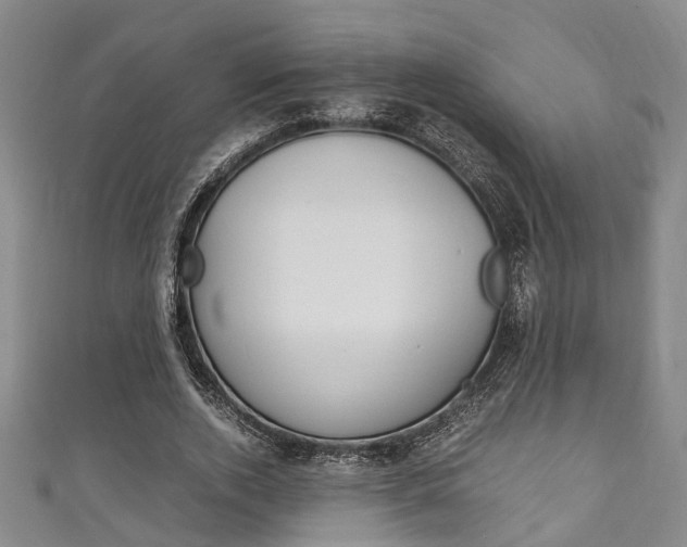 X0000111250728200907021019