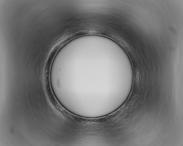 X0000111250730200907021019
