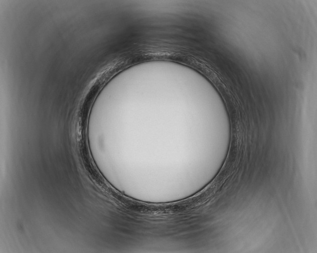 X0000111250731200907021019