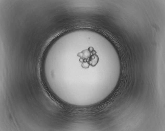 X0000111250732200907021019
