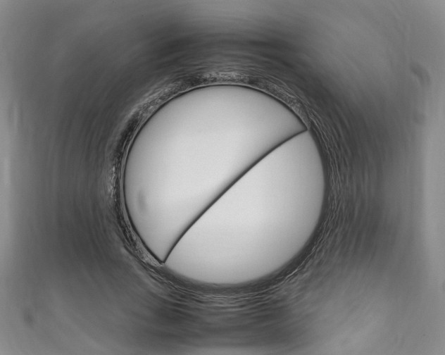 X0000111250735200907021019