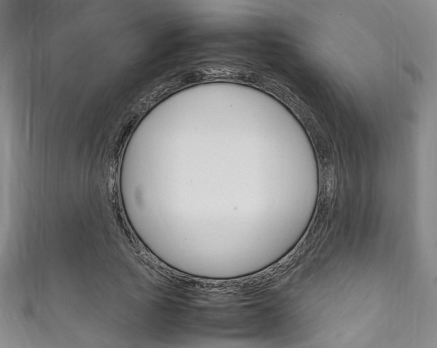 X0000111250737200907021019