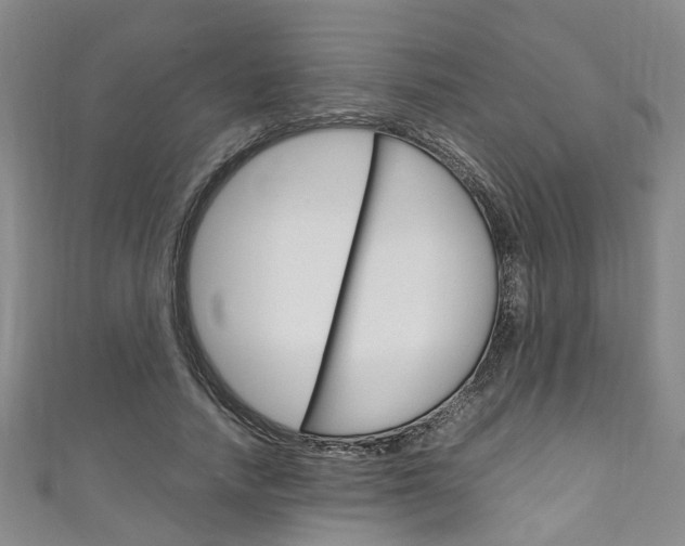 X0000111250738200907021019