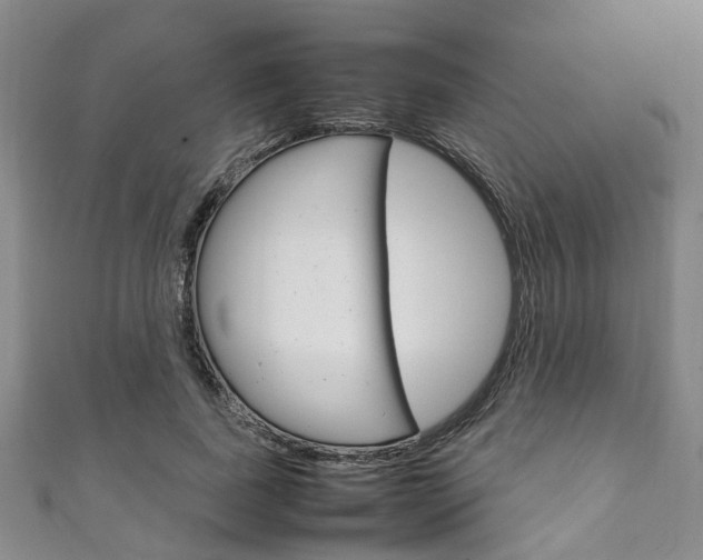 X0000111250739200907021019