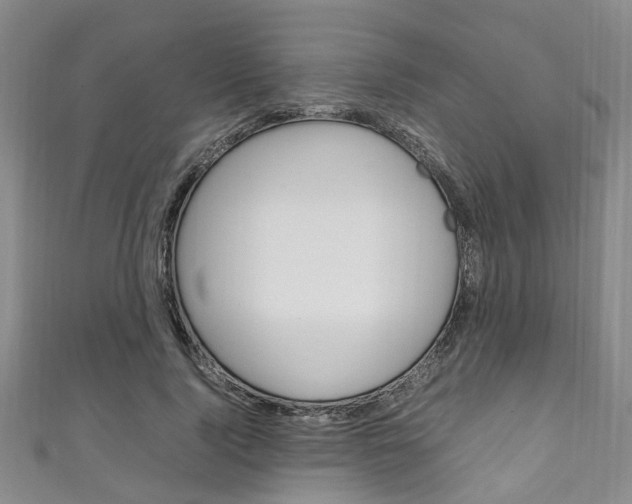 X0000111250740200907021019