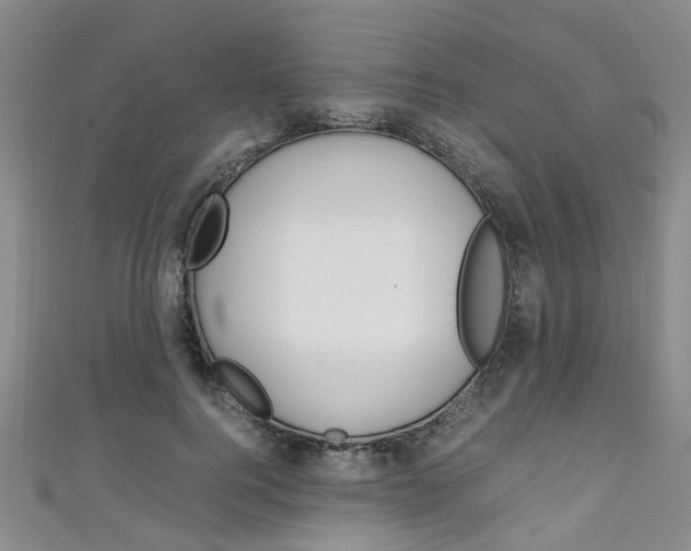 X0000111250744200907021019