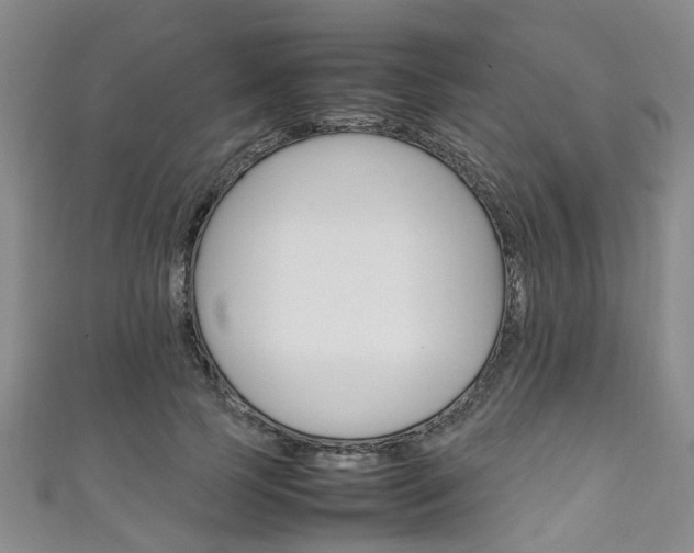 X0000111250745200907021019