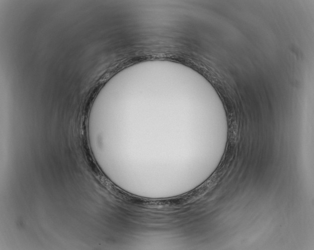 X0000111250746200907021019