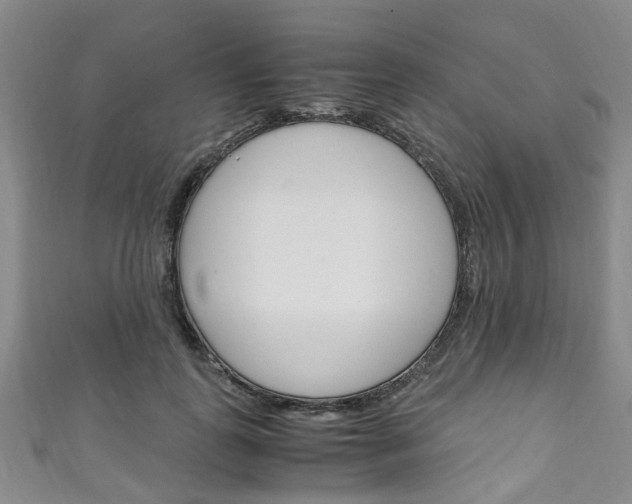 X0000111250747200907021019