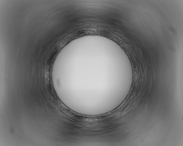 X0000111250749200907021019