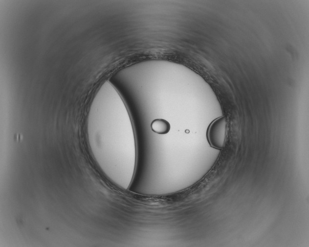 X0000111250750200907021019