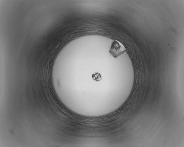 X0000111250752200907021019