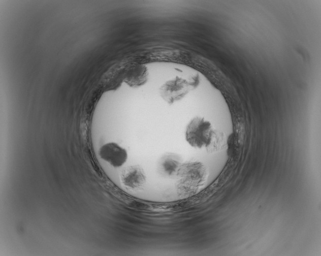 X0000111250753200907021019