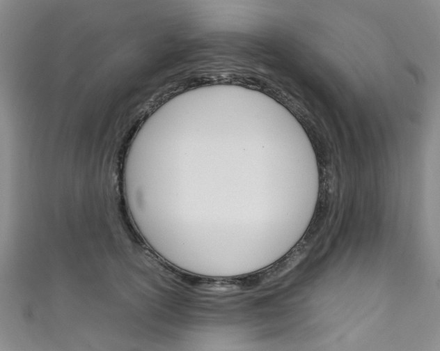 X0000111250754200907021019
