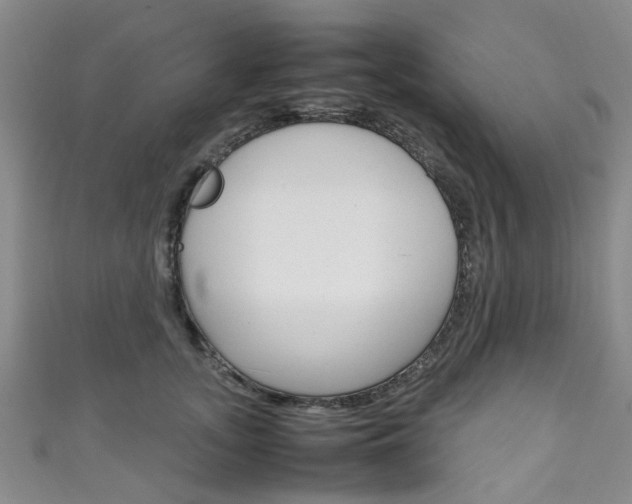 X0000111250755200907021019