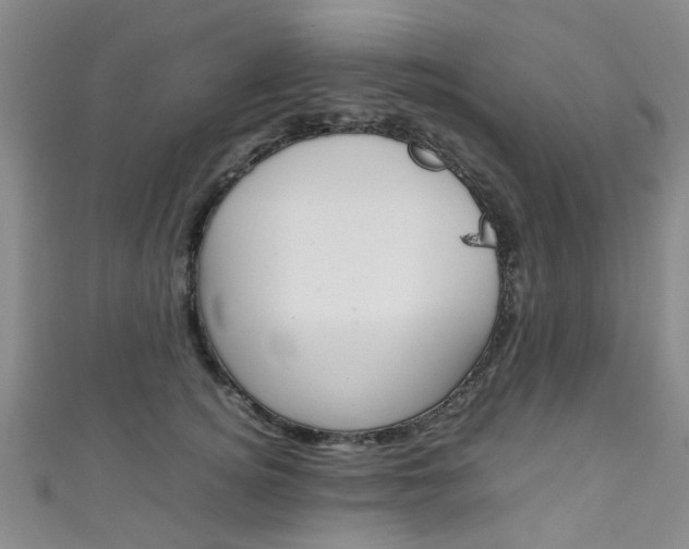 X0000111250756200907021019