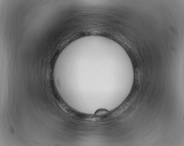 X0000111250760200907021020