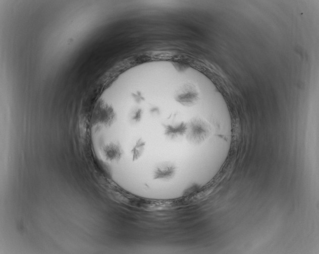 X0000111250761200907021020