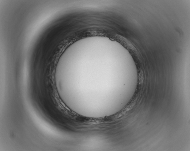X0000111250764200907021020