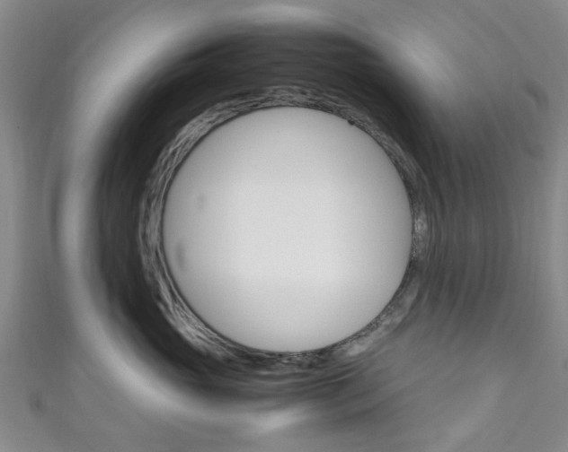 X0000111250765200907021020