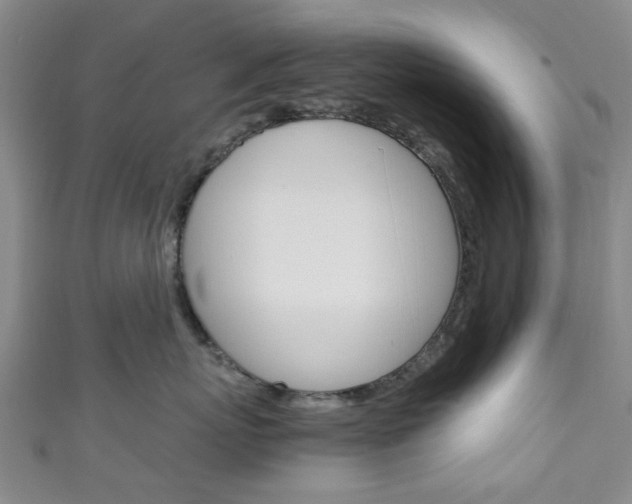 X0000111250767200907021020