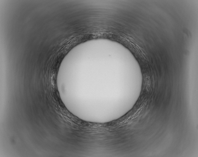 X0000111250770200907021019