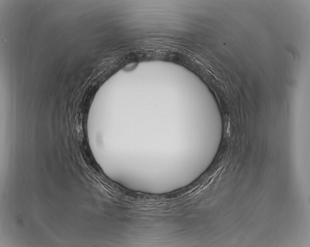 X0000111250771200907021019