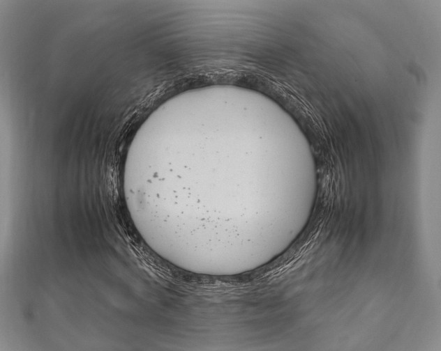 X0000111250772200907021019