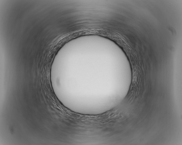 X0000111250773200907021019