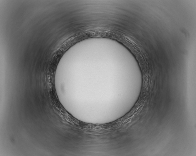 X0000111250774200907021019