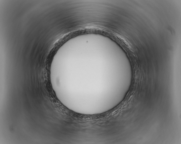 X0000111250776200907021019