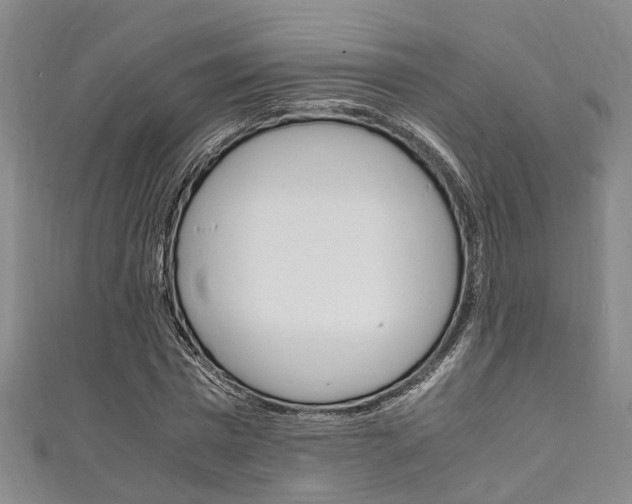 X0000111250777200907021019
