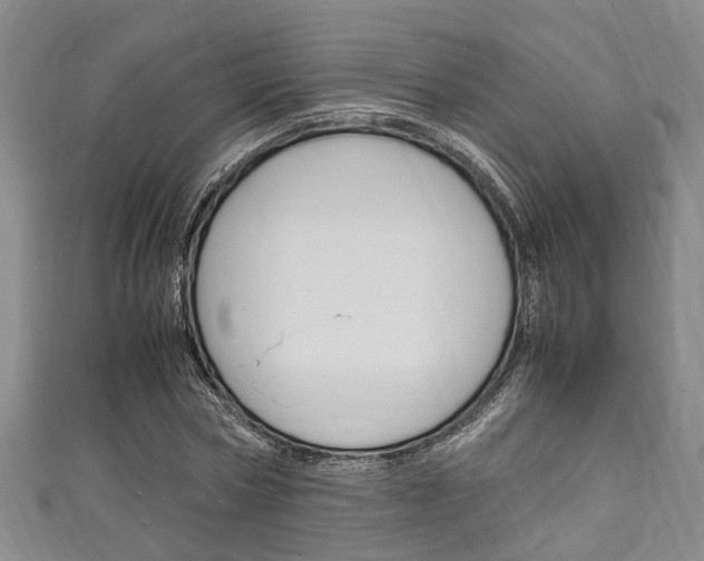 X0000111250778200907021019