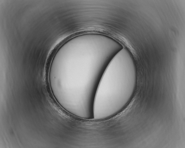 X0000111250780200907021019