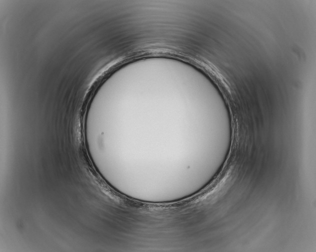 X0000111250782200907021019
